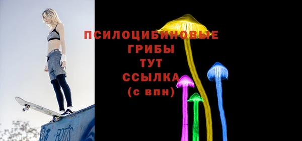 ешки Бугульма