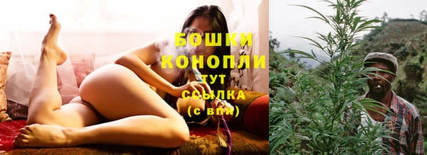 PSILOCYBIN Тавда