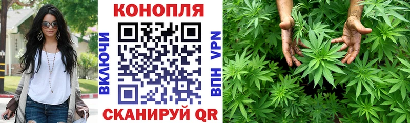 Бошки Шишки планчик  где купить наркотик  Семёнов 